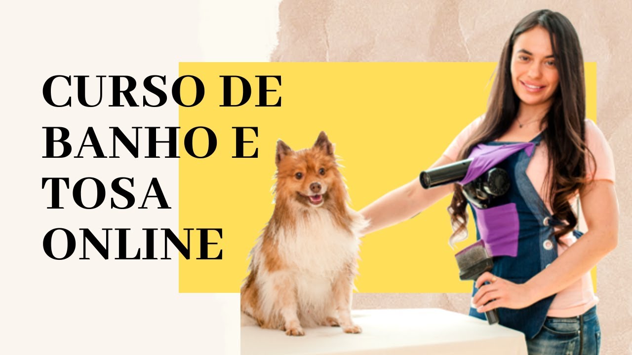 Curso de banho e tosa Online Grátis