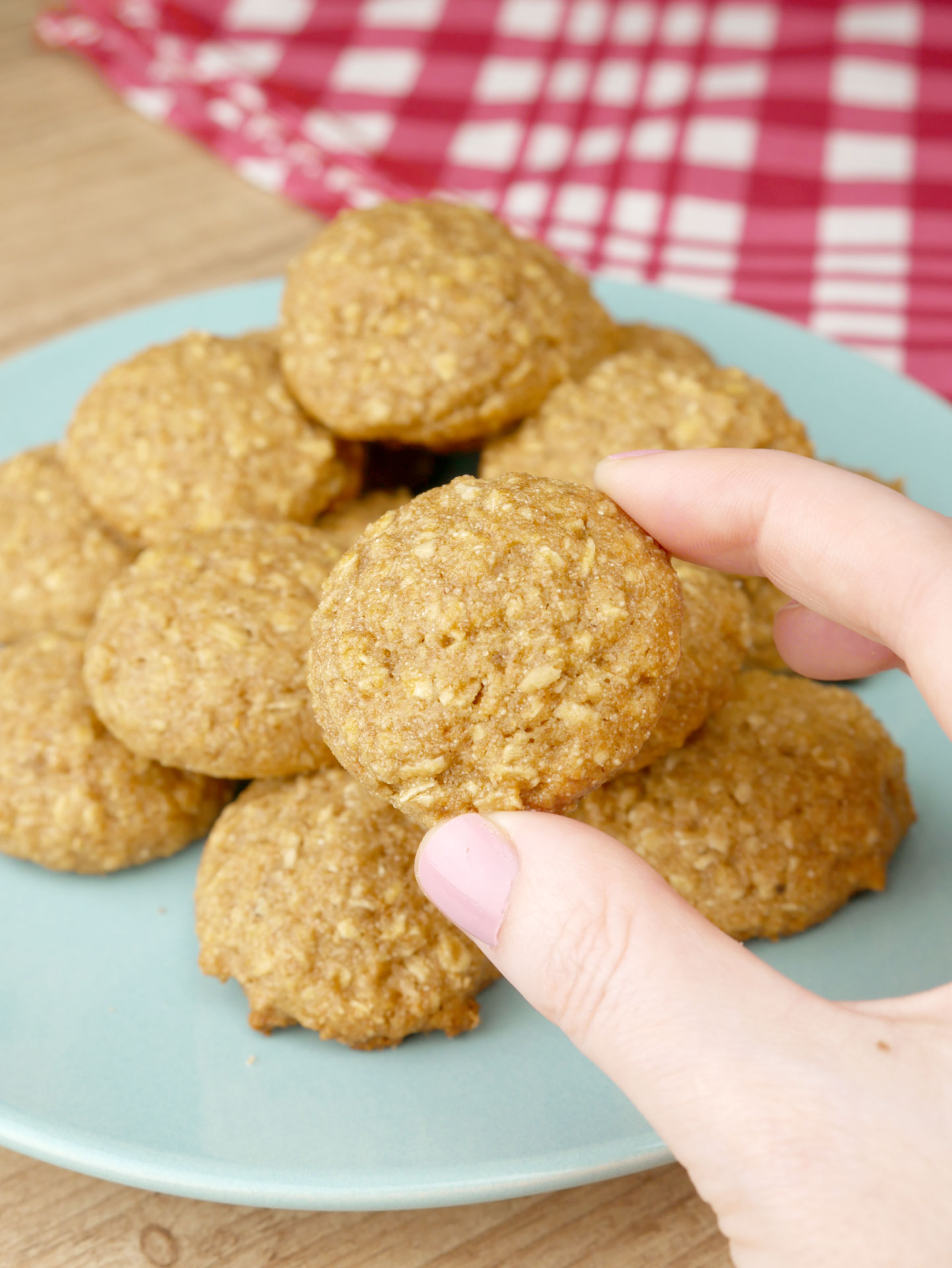 Biscoito Saudável de Aveia e Mel