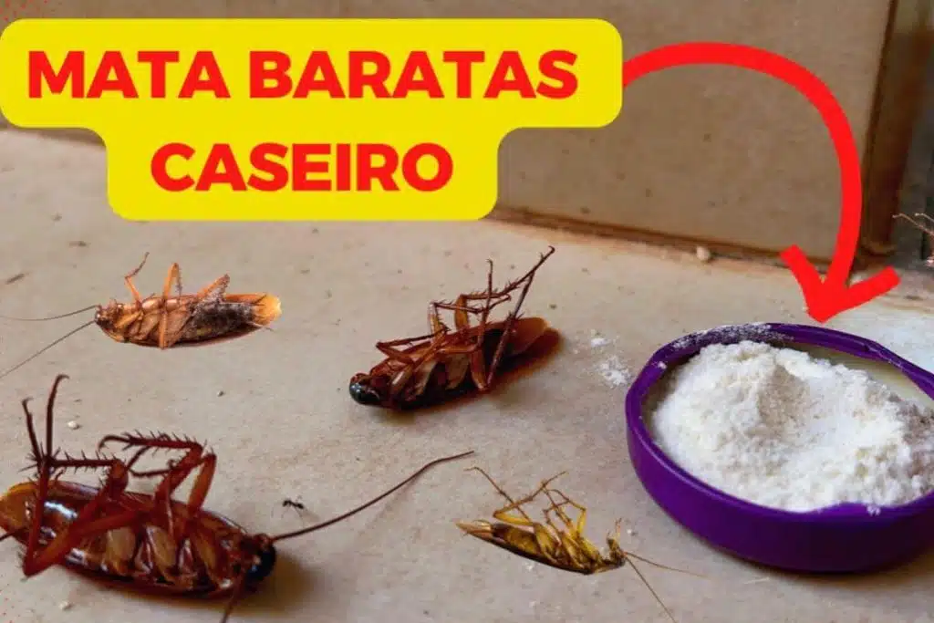 Dica para matar baratas