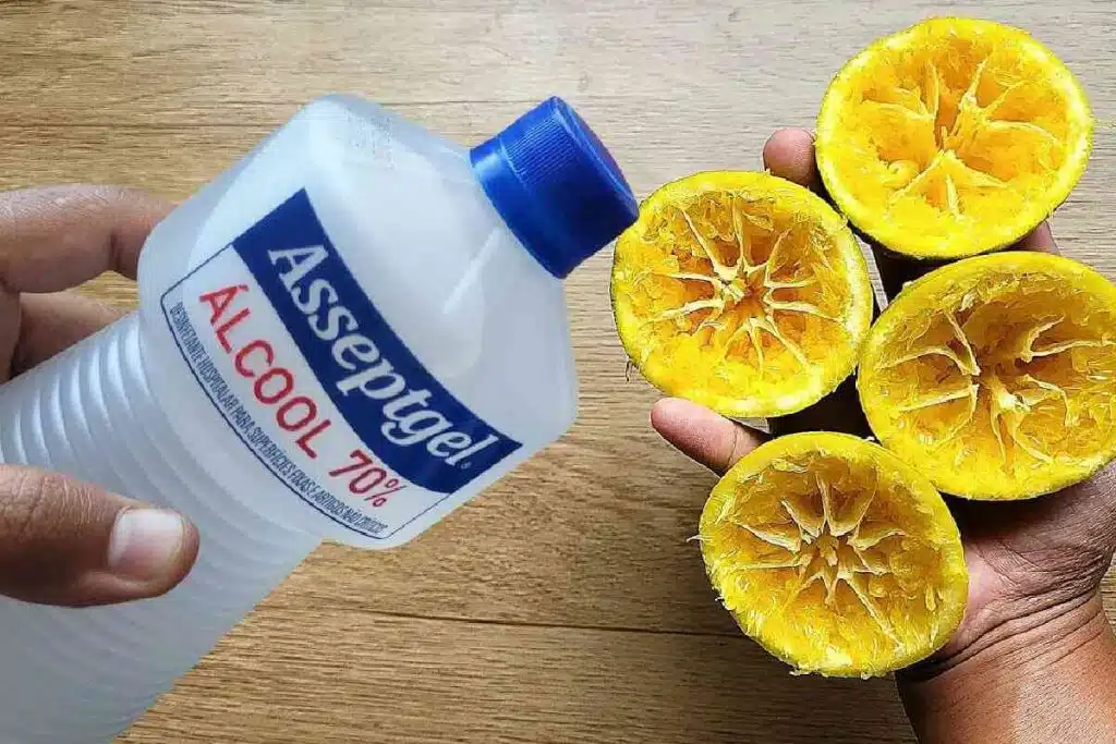 multiuso com casca de laranja